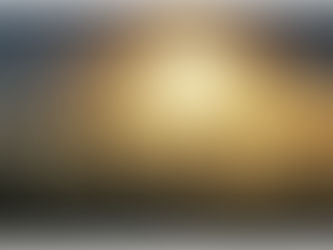 Can a Microbe Convert Greenhouse Gases to Commodity Products?