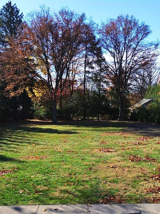 Sunlit fall landscape highlighting the level 100x200 ft lot at 152 Fairmount in Ridgewood, bordered by mature trees and neighboring homes.