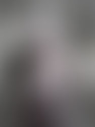 181#