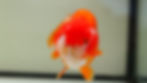 Thumbnail: jumbo high quality super Wen yuanbao ranchu