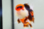 Thumbnail: high quality long tail Tricolor Oranda-Never loses balance