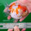 Thumbnail: super Wen juvenile shogun F2 oranda- a little head down