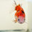 Thumbnail: 2 pack super Wen juvenile shogun F2 oranda