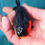Thumbnail: super Wen juvenile yuanbao ranchu-black gold