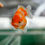 Thumbnail: juvenile shogun F2 oranda-chunky fish