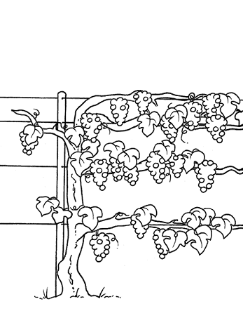 11.gif