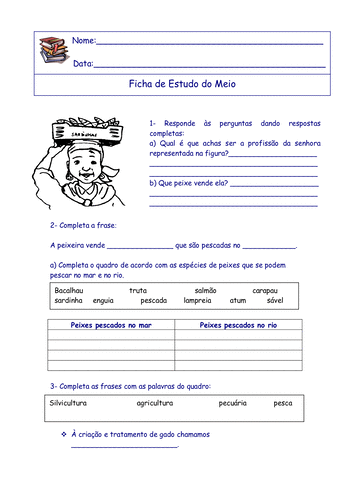 meio26