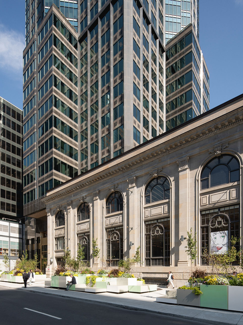 Installation Agora Silva