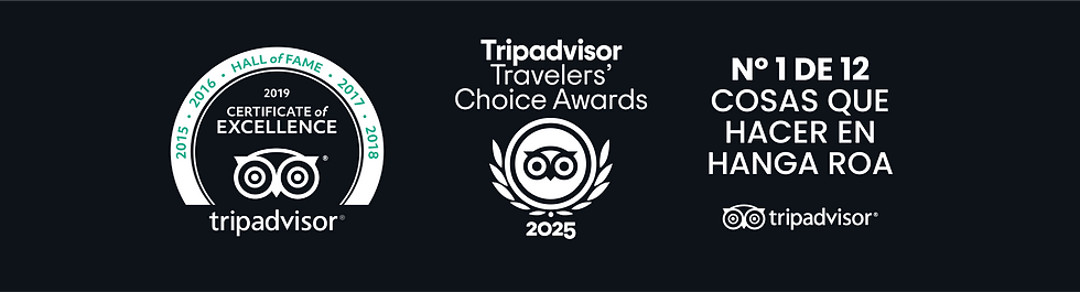 logos para web tripadvisor- 2025.png