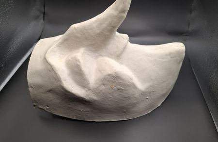 Atelier Magne Alti Dante Larve