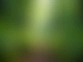 Registracija u NRIZ – ključ za usklađenost sa zakonom, efikasno upravljanje otpadom i unapređenje ekoloških standarda kroz digitalno praćenje, tačne podatke i odgovorno poslovanje