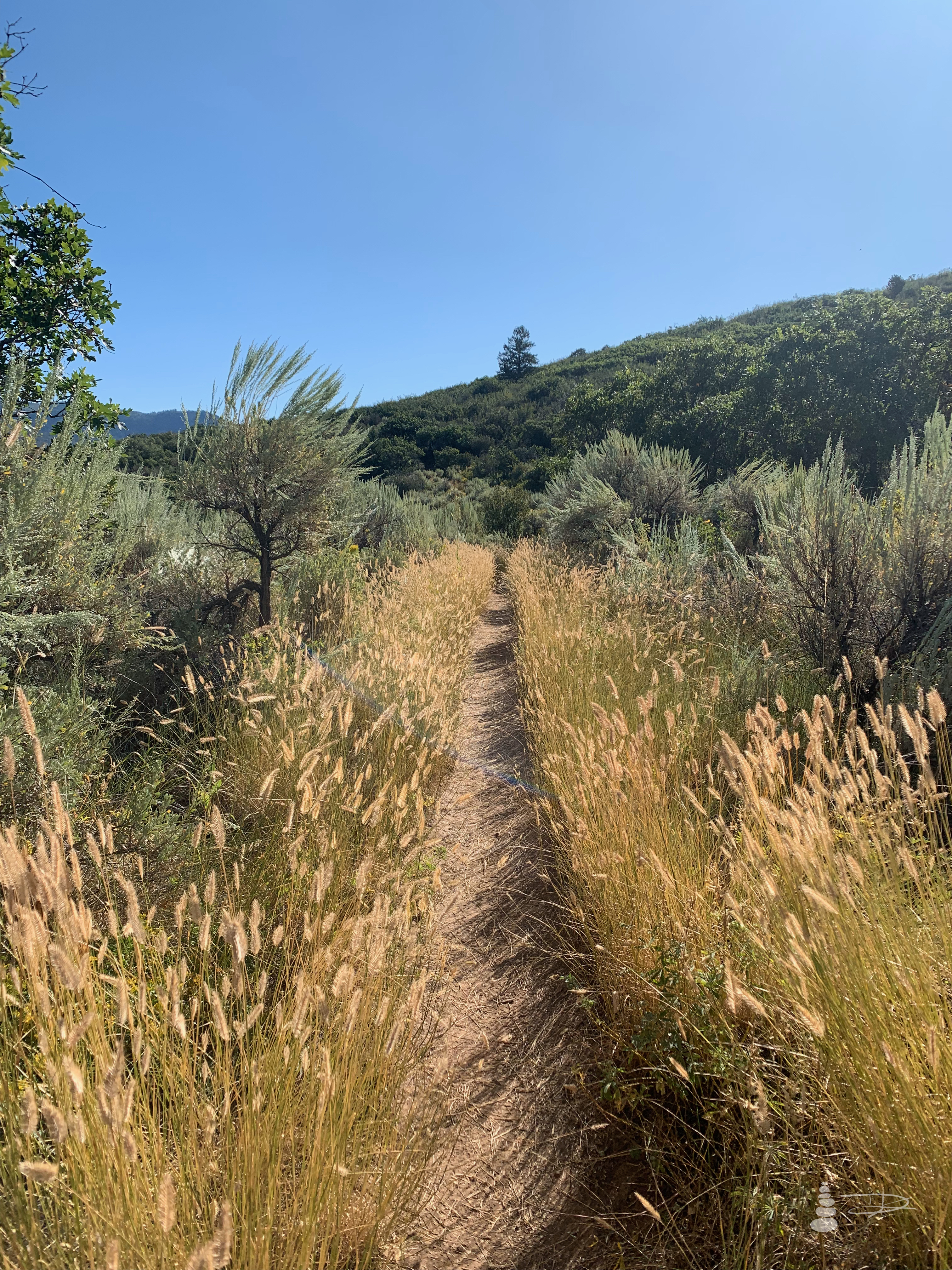Boy Scout Trail | Glenwood Springs