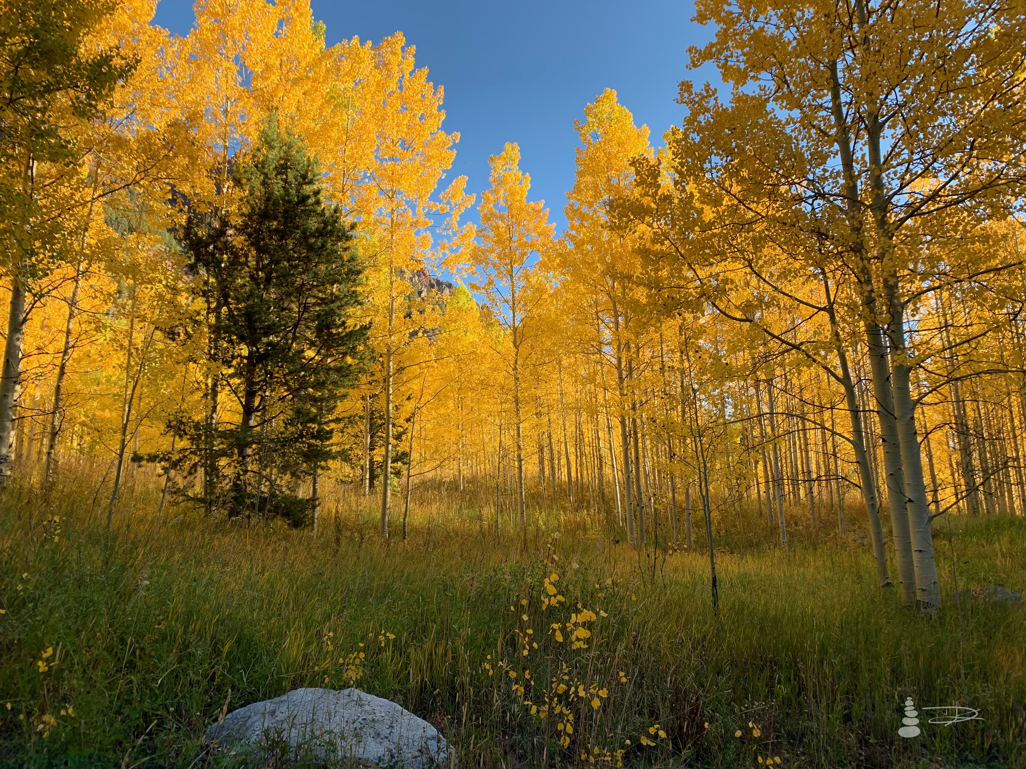 Maroon Bells | Aspen, CO