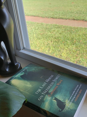 The Last House on Needless Street by: Catriona Ward