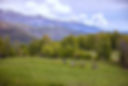 Horse Riding in the Valley_edited.jpg