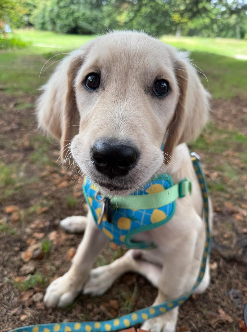 bailey - 9th Most Kissable Face