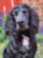 shadow - 1st Perfect Portraits