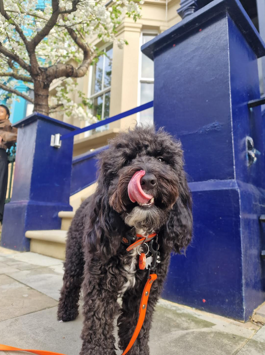 1st Rani - Tongues Out