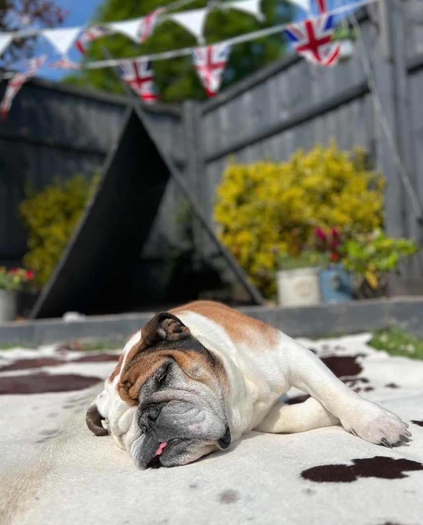 brody - 6th Garden Portraits