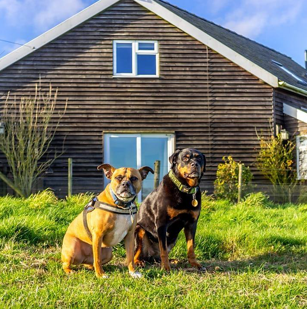 Screenshot 2025-12-11 at 20.23.15.png