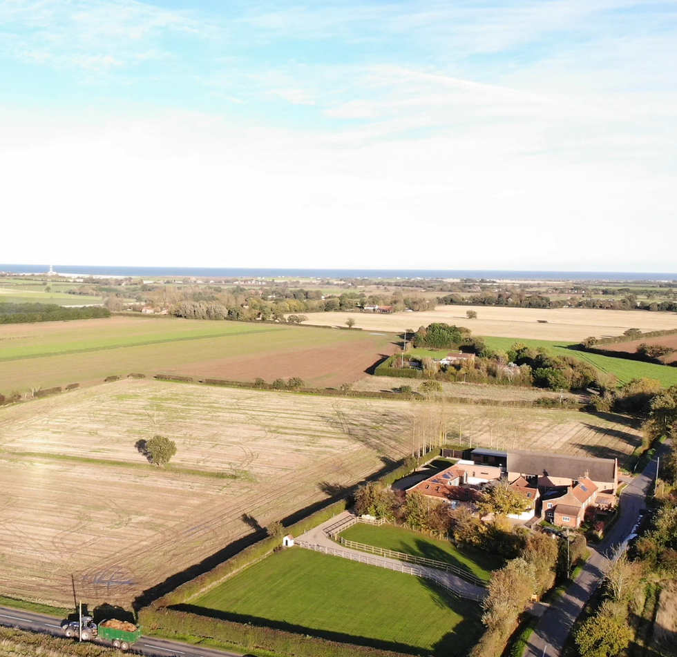 Screenshot 2026-02-13 at 16.50.33