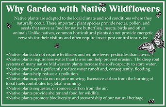 SMALL Why Garden With Natives.tif