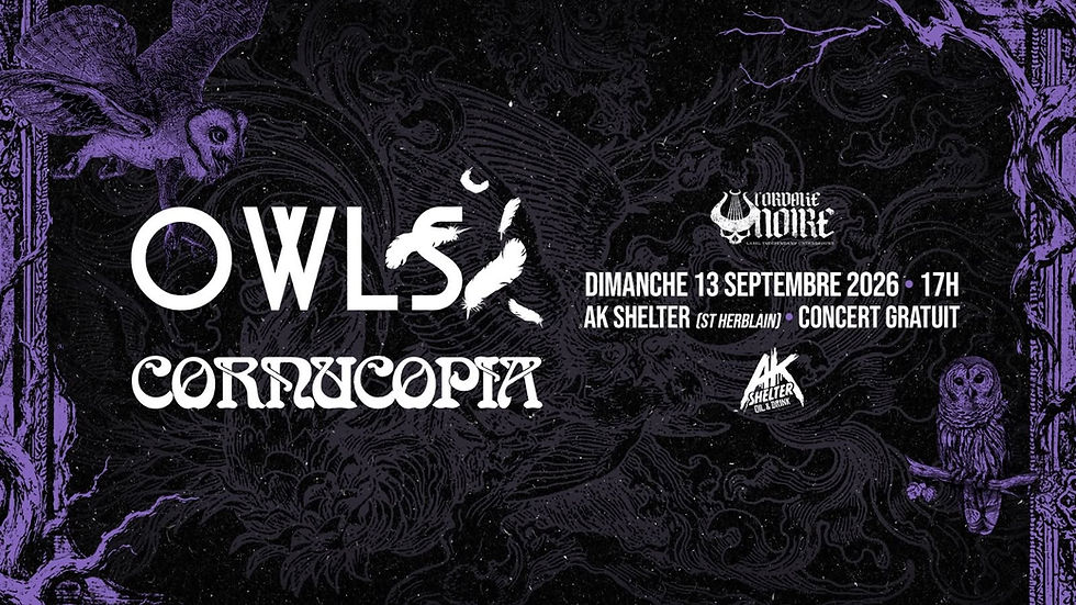 OWLS ★ CORNUCOPIA