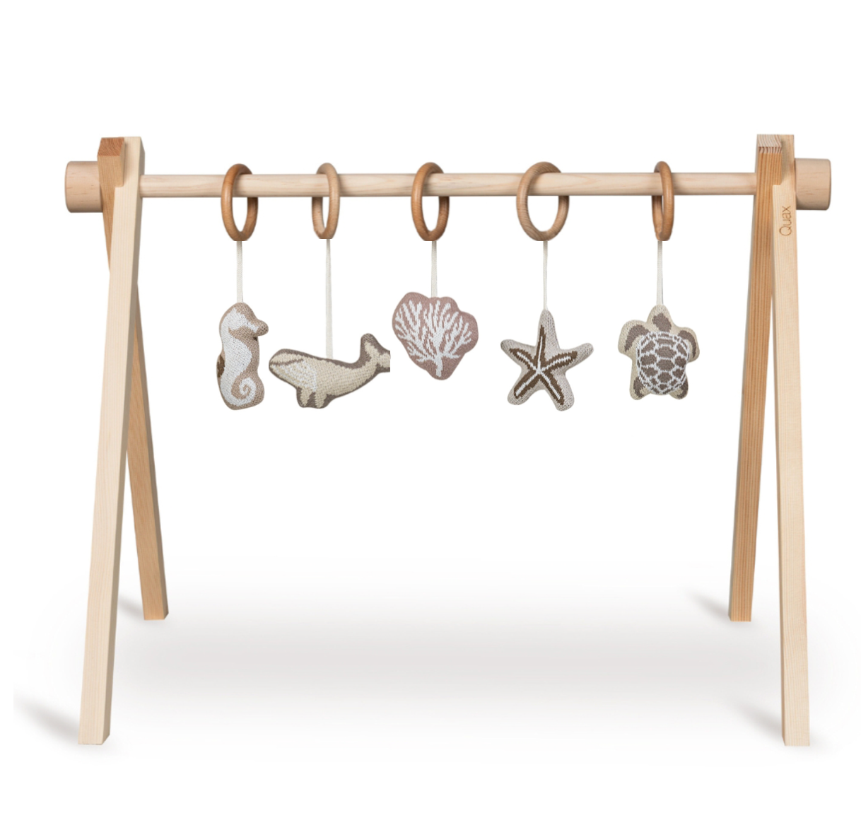 קשת פעילות - חיות ים