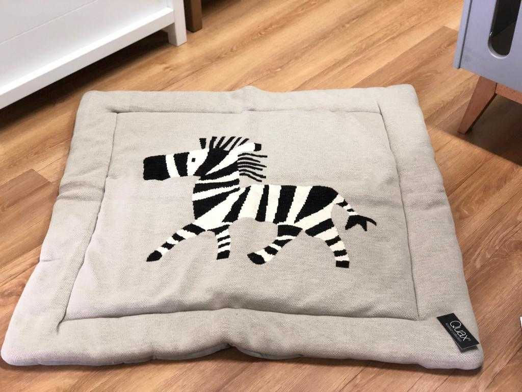 משטח פעילות זברה