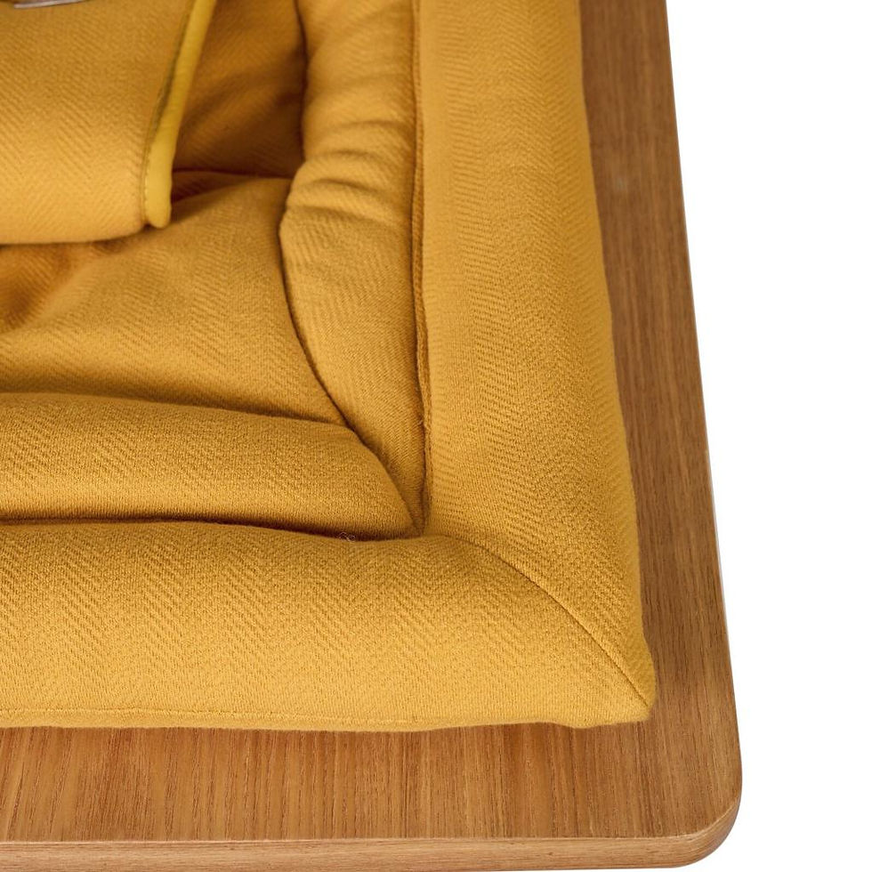 תמונה ממוזערת: רוקר לתינוק - גוון זעפרן