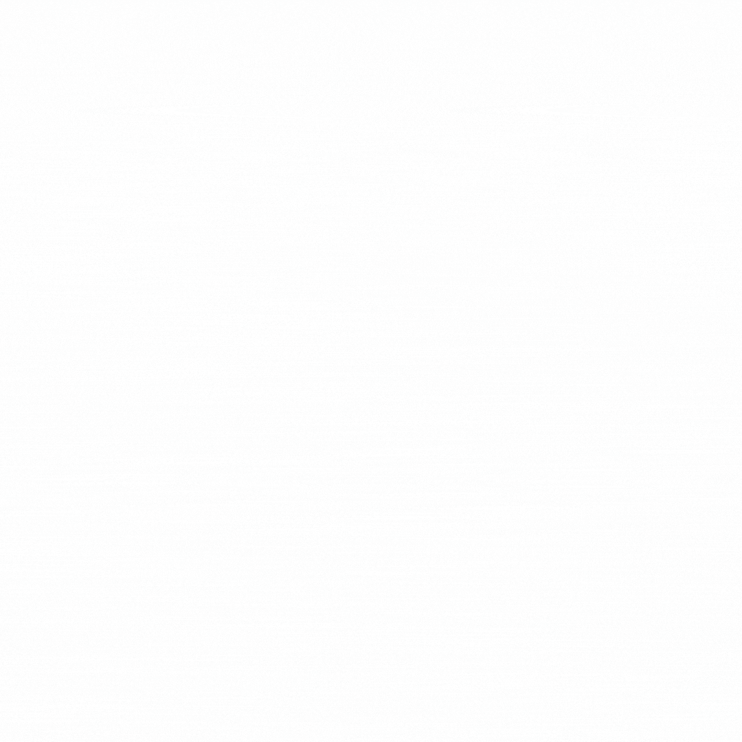 Lions Go Mobility.gif