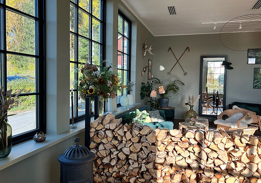 entré hotell åre fjällsätra