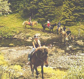 Fjällridning i Åre med omnejd