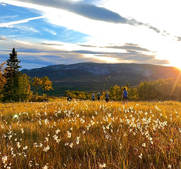 Åre Fjällsätra höst.jpeg