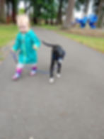 Transitional Leash