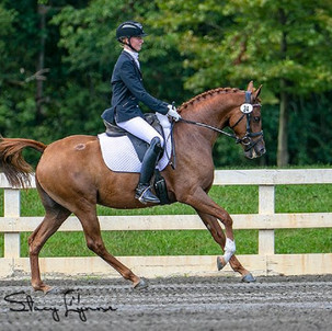 Canter Pic 2.jpeg