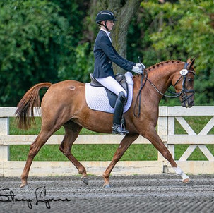Trot Pic 4.jpeg