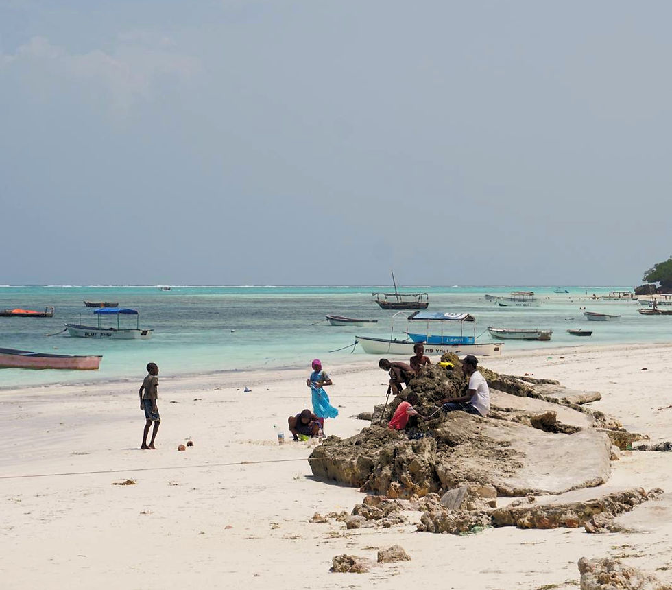 Sansibar / Tansania: Mein ehrliches Fazit nach dem Overtourism-Boom