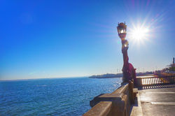 DSC02637-01.jpeg