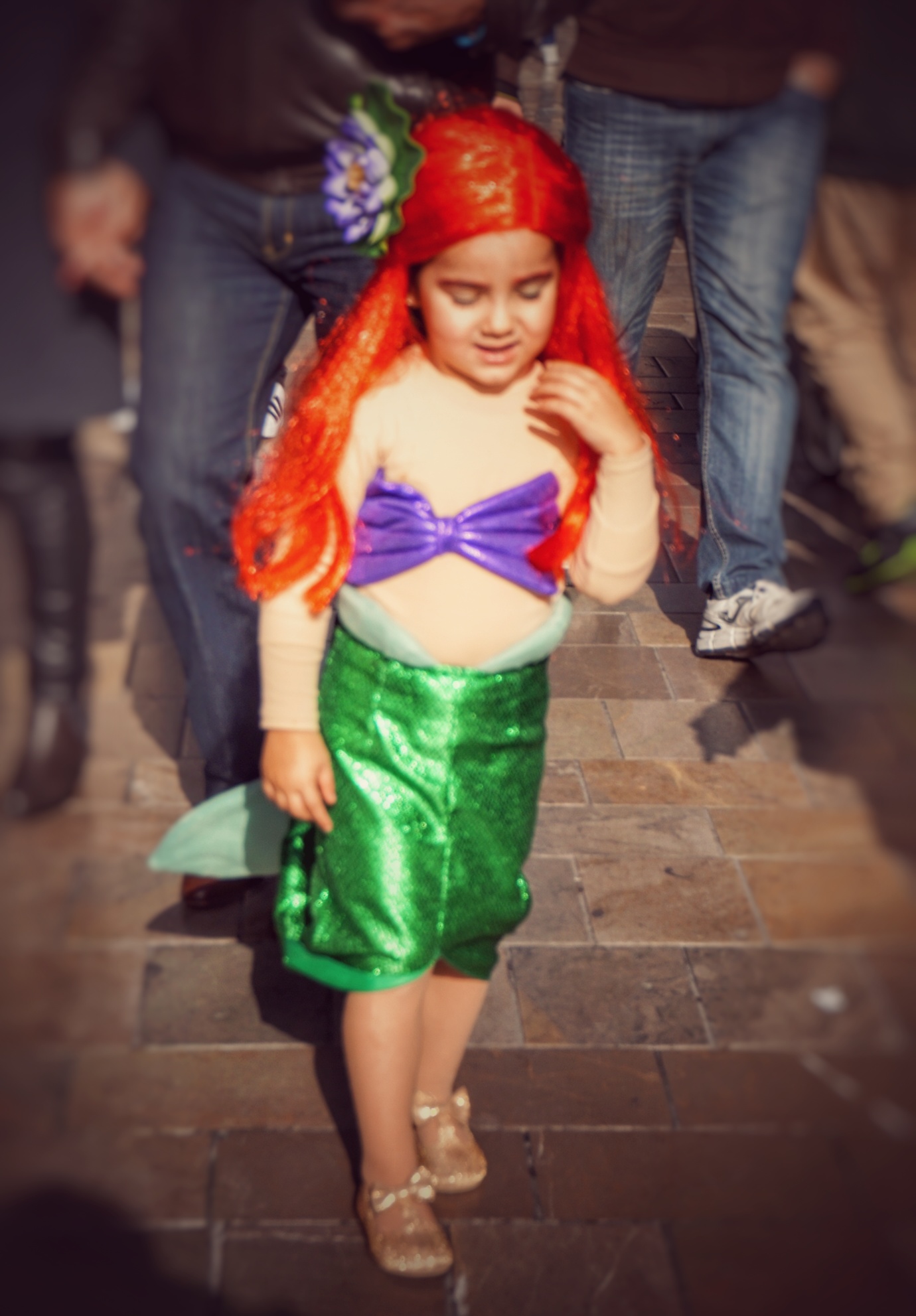 Carnaval de Malaga 2016