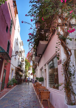 Przewodnik po Maladze - Marbella