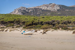 Przewodnik Malaga - Playa de Bolonia