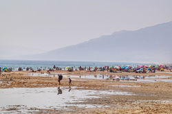 Przewodnik Andaluzja - Tarifa