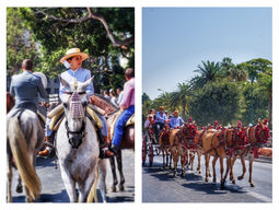 Feria de Malaga 2015