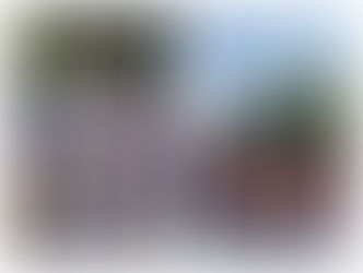 Feria de Malaga 2015