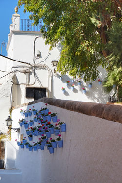 Przewodnik po Maladze - Marbella