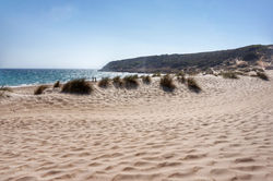 Przewodnik Malaga - Playa de Bolonia