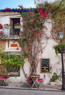 Przewodnik po Maladze - Marbella