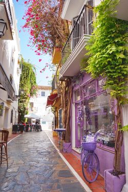 Przewodnik po Maladze - Marbella