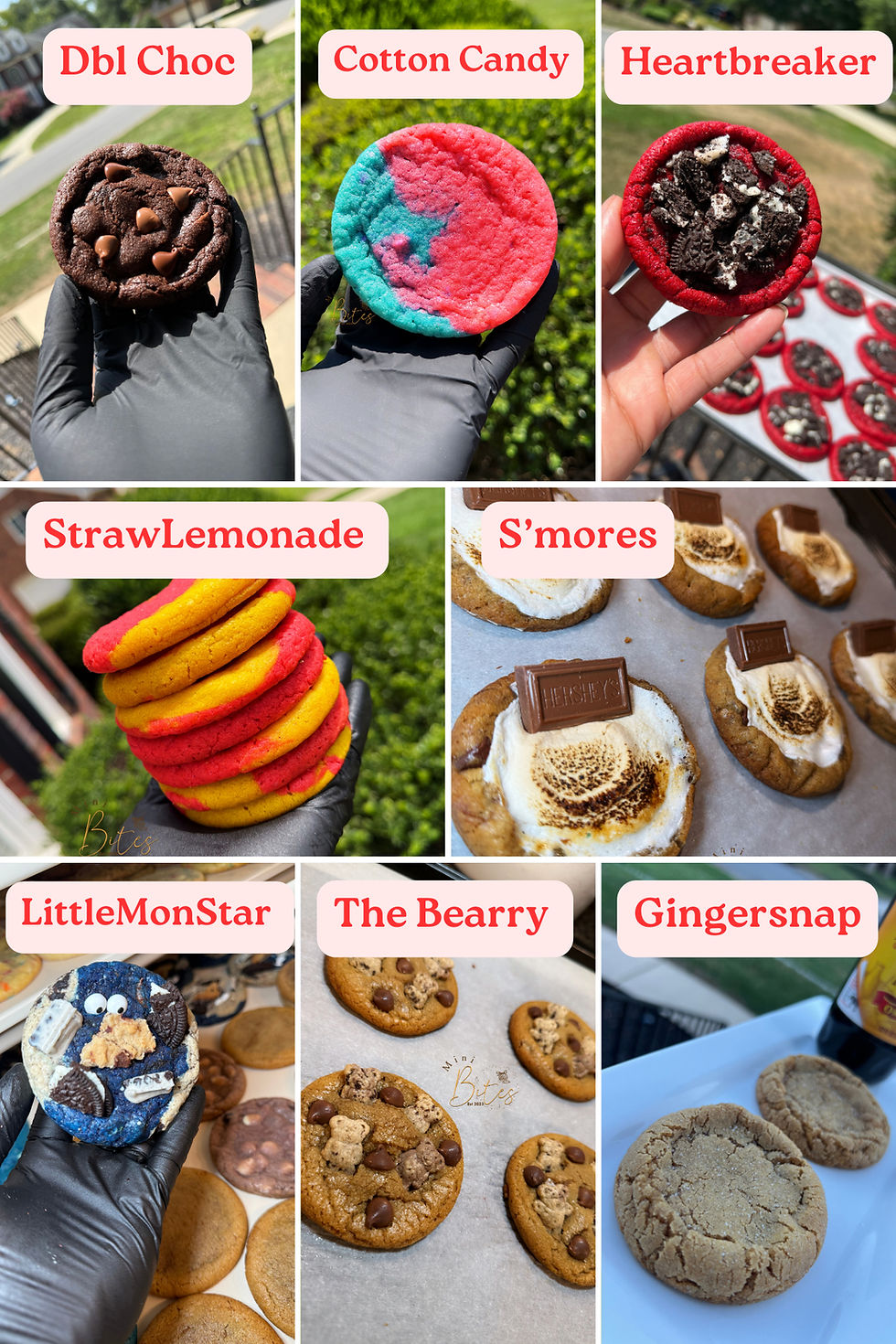 Thumbnail: 12 Count B.Y.O.B Box